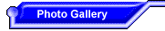 Photo Gallery